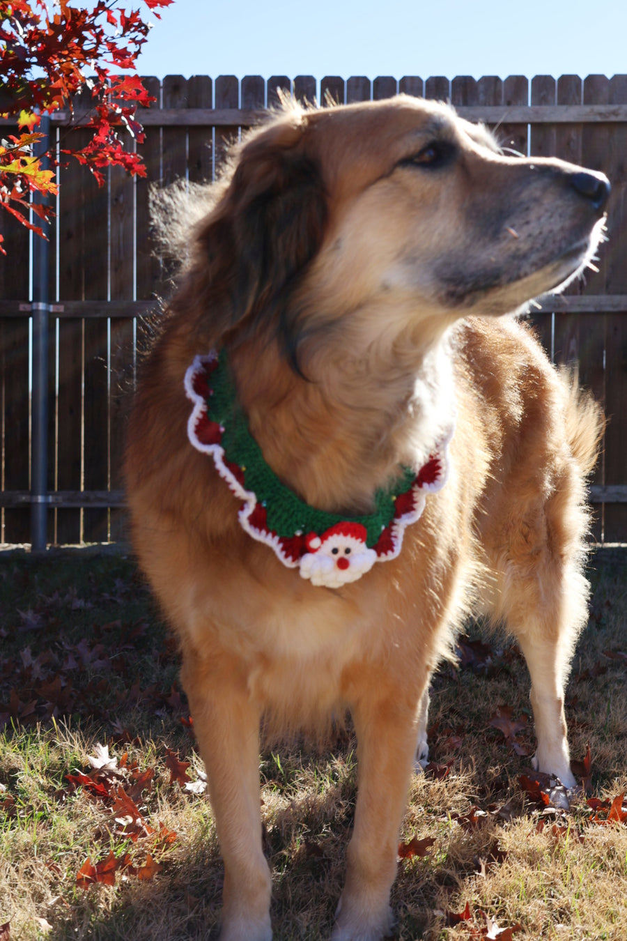 Handmade Knitted Pet Collar - Santa's Elegance