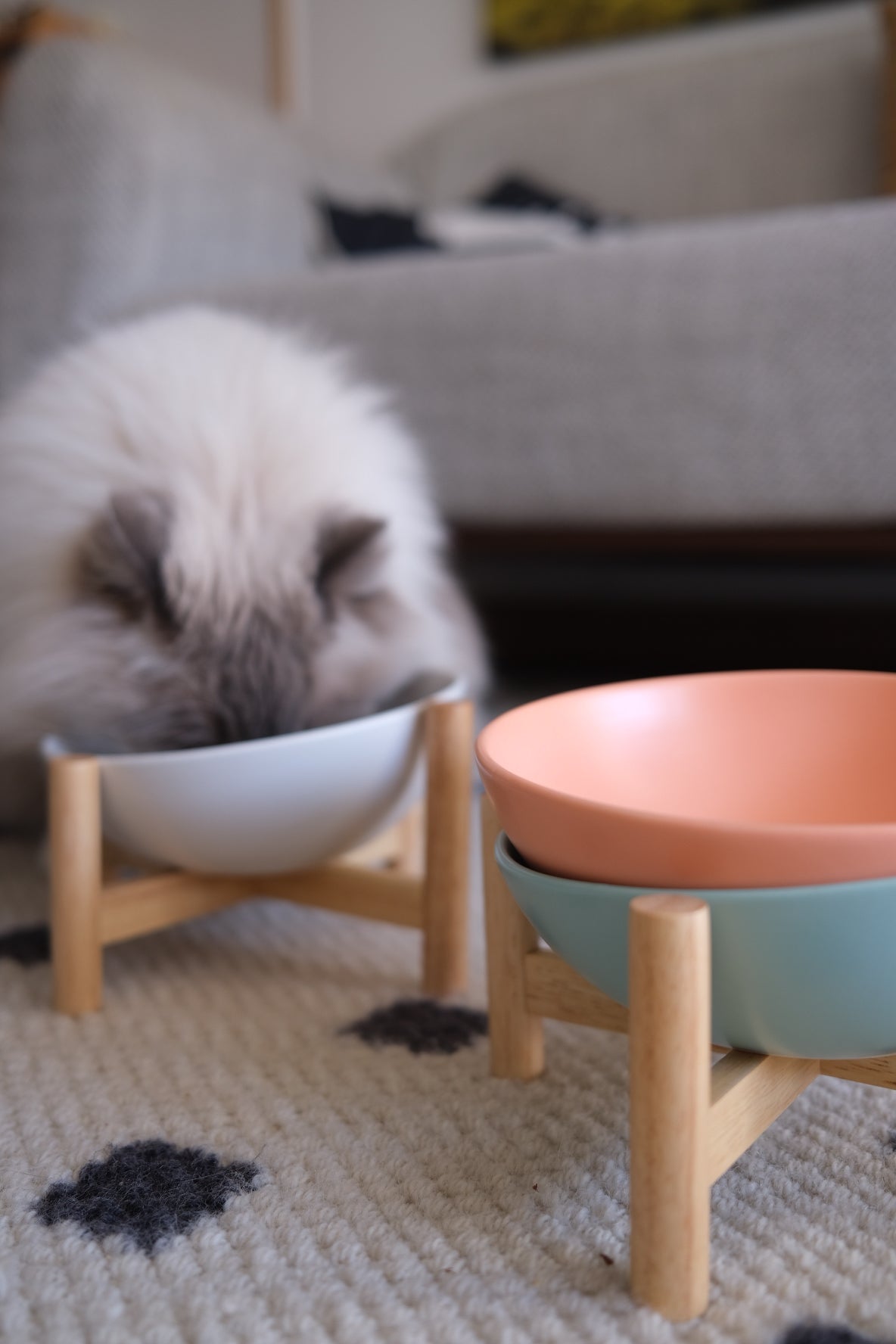 Bun's Tilted Pet Bowl (Pearl Essence)