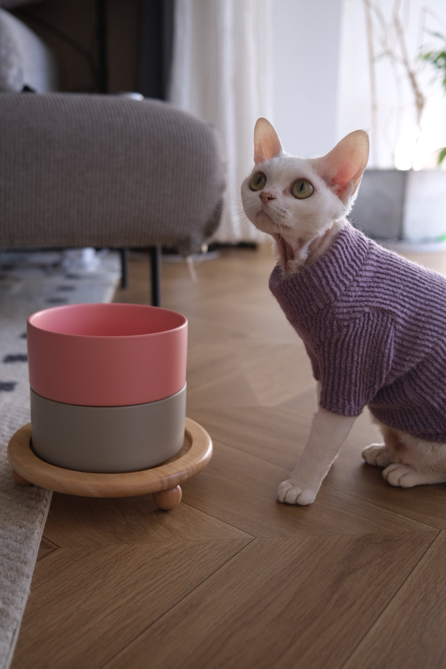 Sophie's Classic Pet Bowl - TimberBase (Pebble Gray)