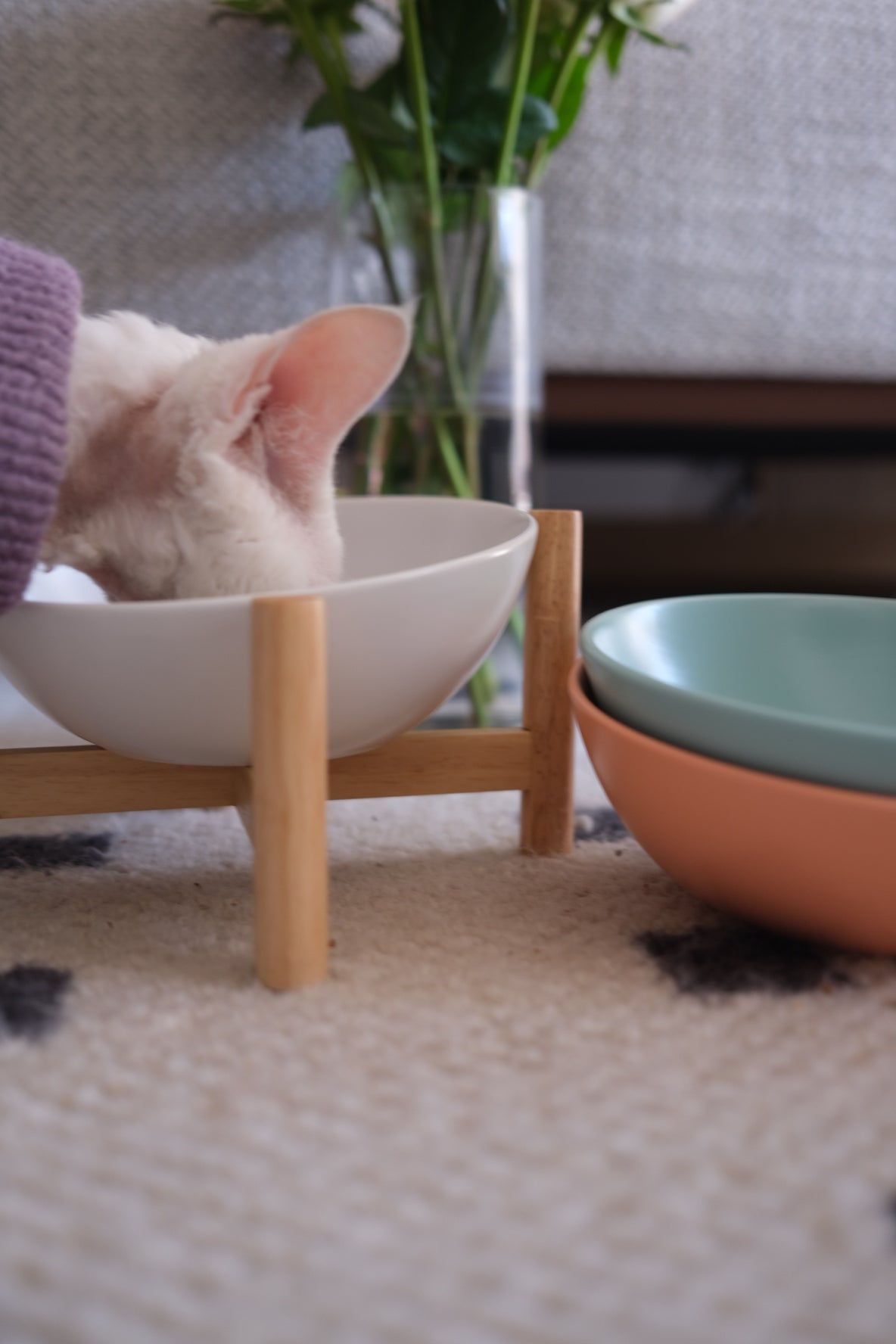 Bun's Tilted Pet Bowl (Pearl Essence)