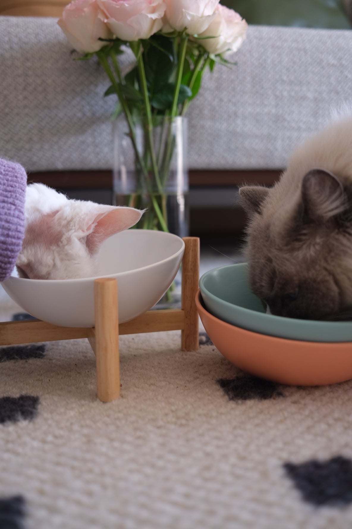 Bun's Tilted Pet Bowl (Coral Blush)