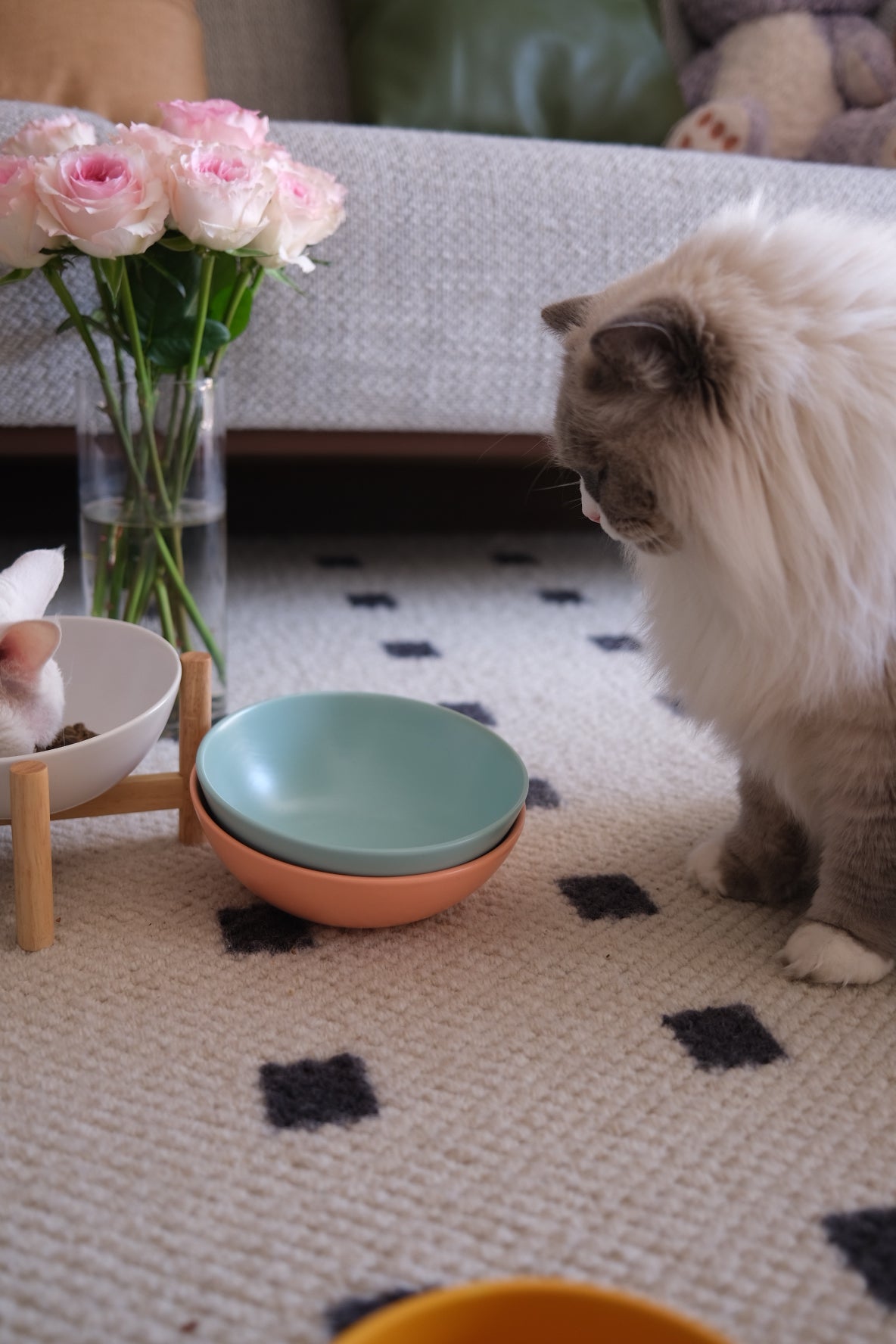 Bun's Tilted Pet Bowl (Coral Blush)