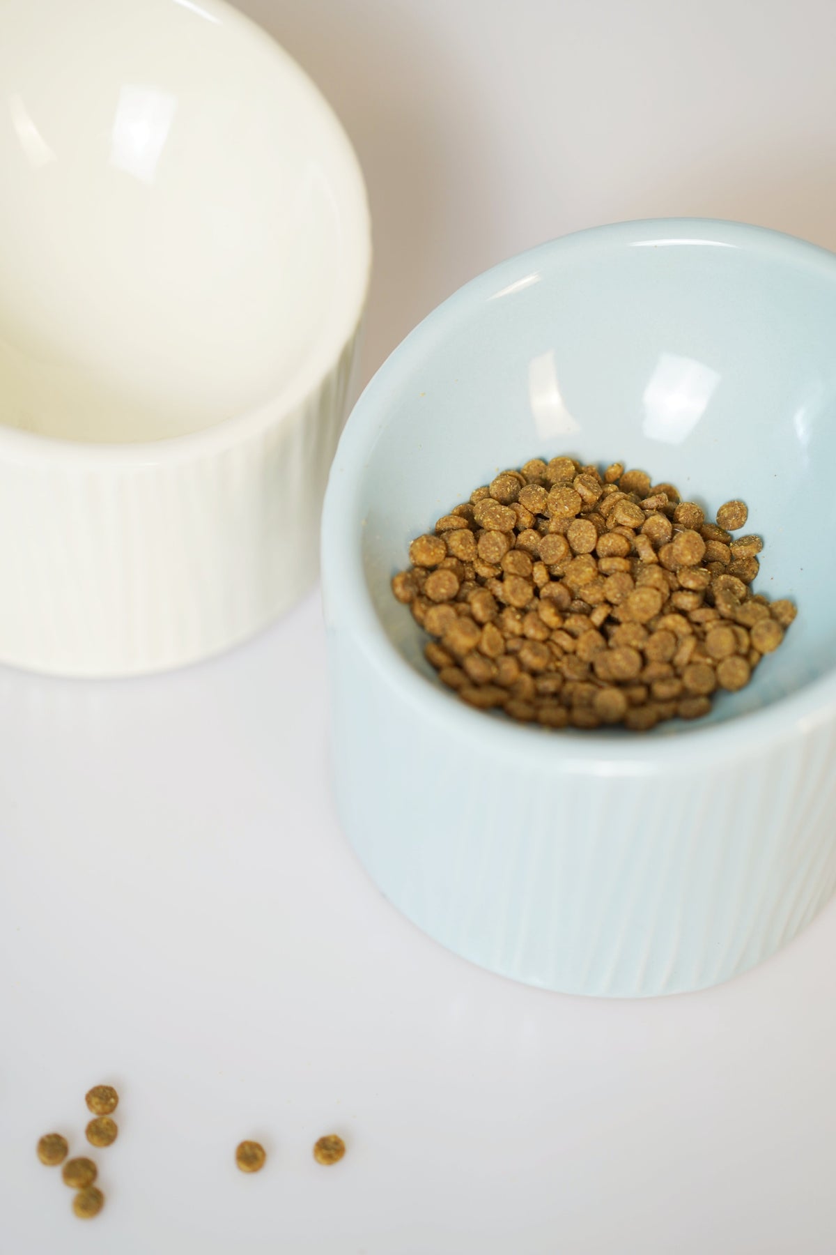 Aura Pet Bowl (Cream)