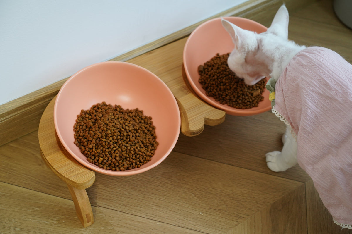 Bun's Tilted Twin Pet Bowl - Harmony Stand (Coral Blush)