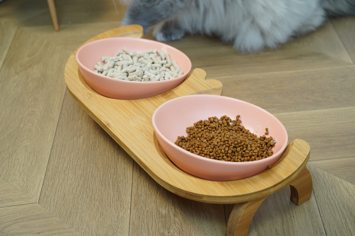 Bun's Tilted Twin Pet Bowl - Harmony Stand (Coral Blush)